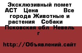 Эксклюзивный помет АСТ › Цена ­ 30 000 - Все города Животные и растения » Собаки   . Псковская обл.,Невель г.
